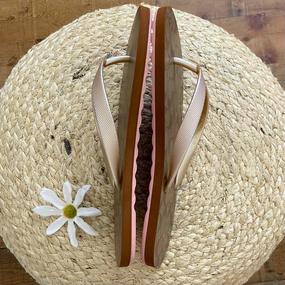 COACH ⭐️NWOT Slip On Sandals in Gold + Brown - Picture 2 of 8